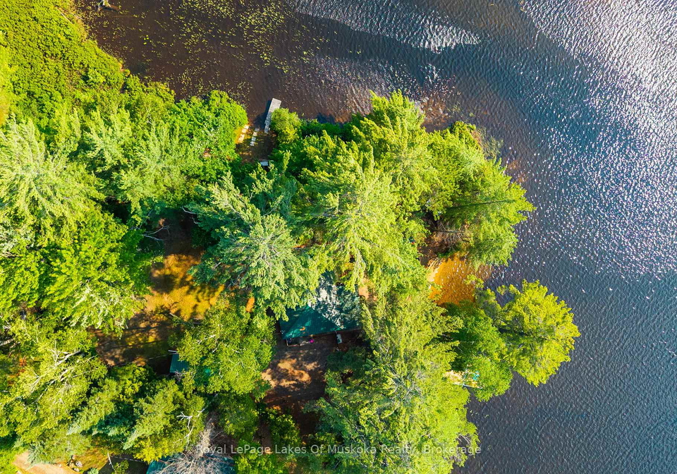 1015-goodlife-lane-algonquin-highlands-ontario-x13599678