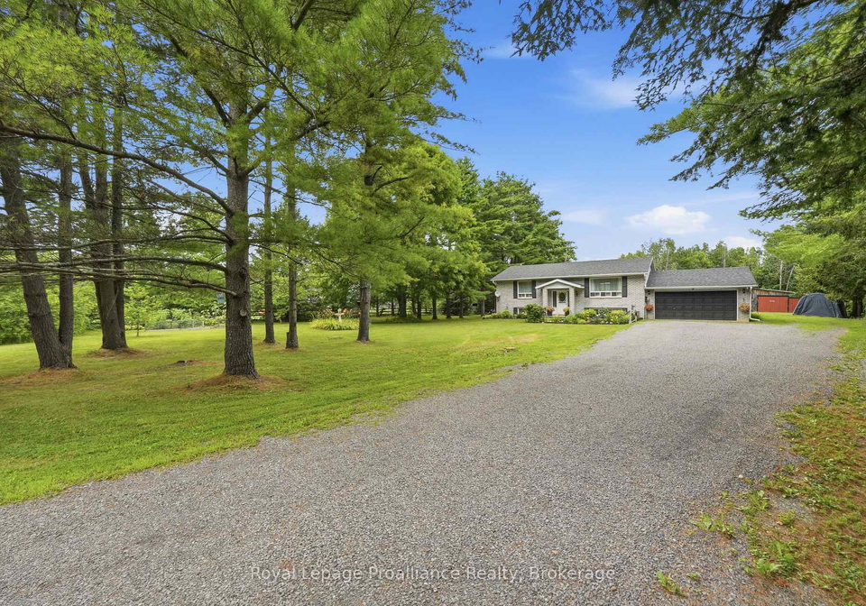 384-carson-road-centre-hastings-ontario-x13601440