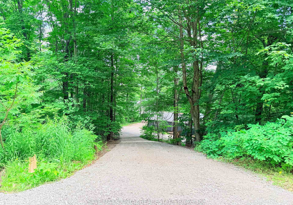 1080-johnson-bay-road-dysart-et-al-ontario-x13601732