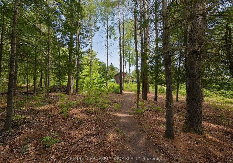 515-graphite-bay-road-greater-madawaska-ontario-x13602528