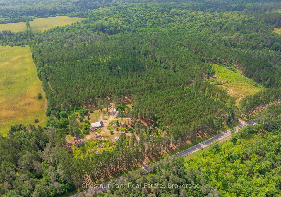 165-james-camp-road-ryerson-ontario-x13602904