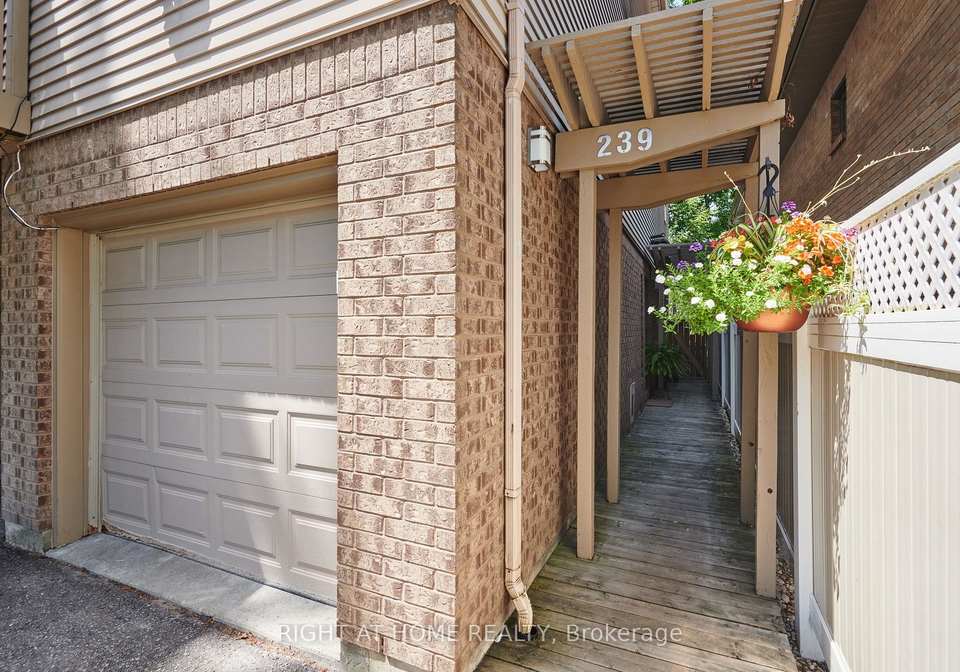 239a-sunnyside-avenue-ottawa-ontario-x13603046