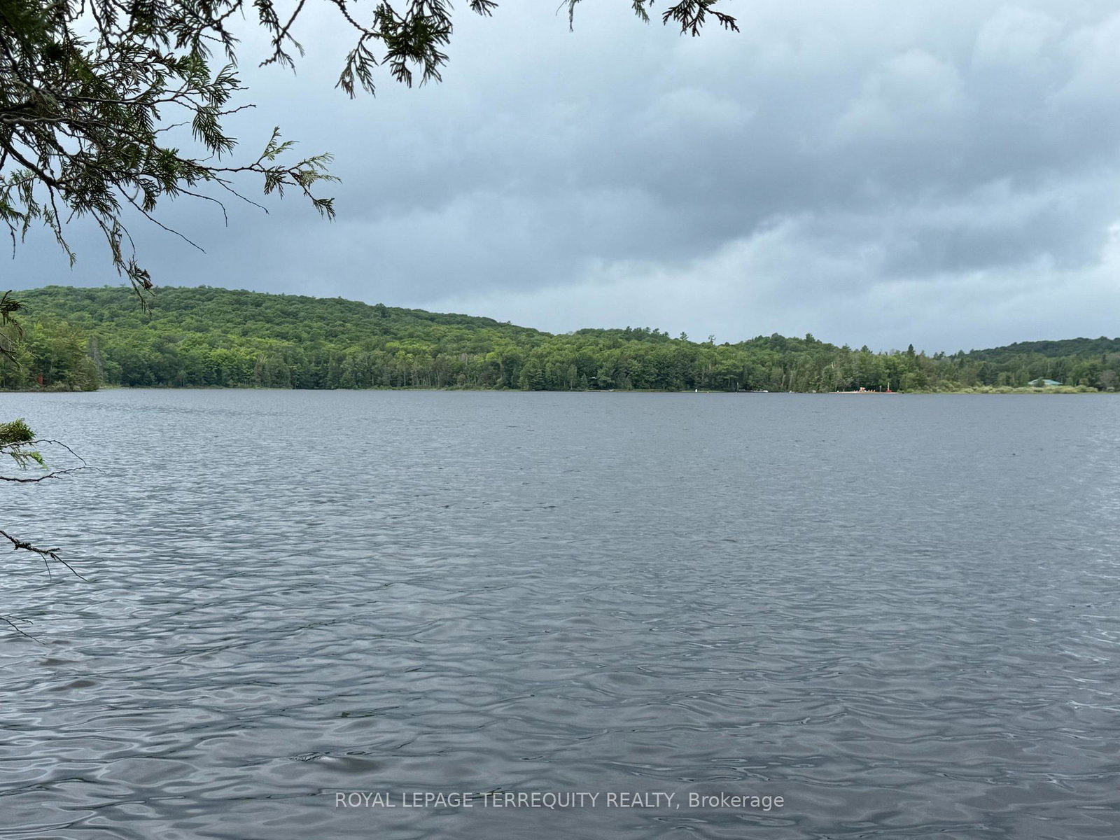 1097-swirlingleaves-lane-highlands-east-ontario-x13605146