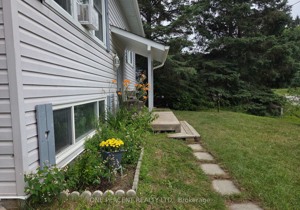 31-prince-street-minden-hills-ontario-x13605354