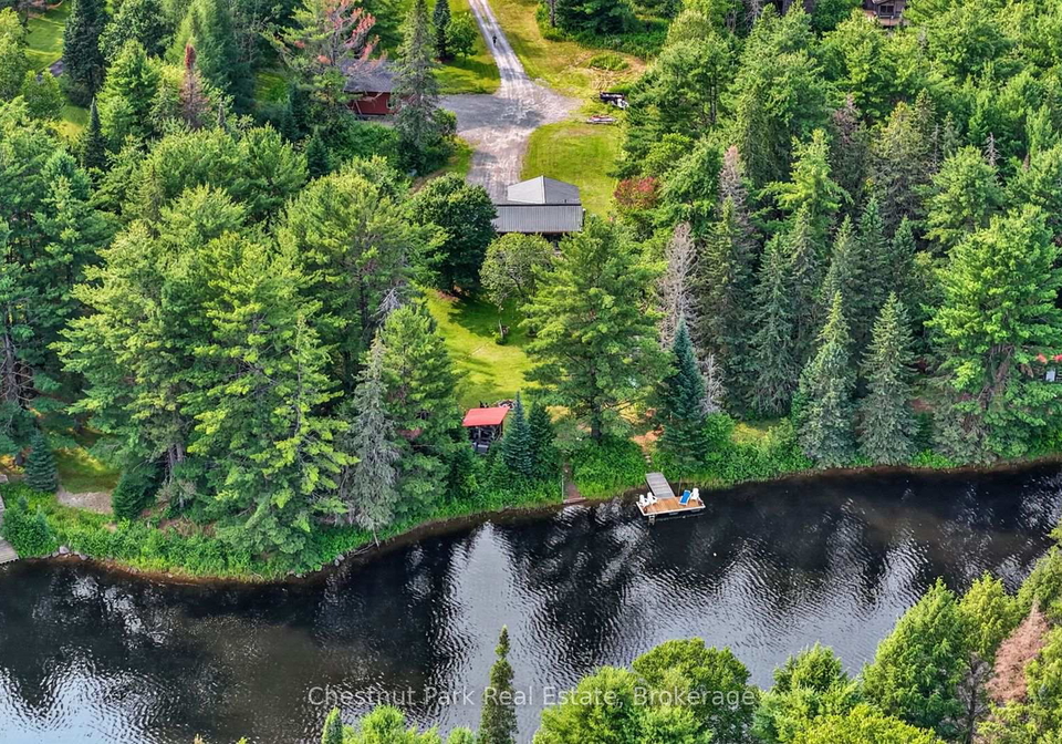 1162-high-falls-road-bracebridge-ontario-x13608312