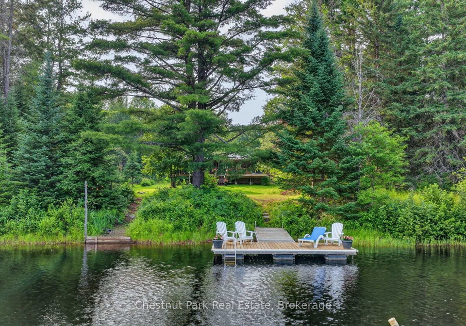 1162-high-falls-road-bracebridge-ontario-x13608312