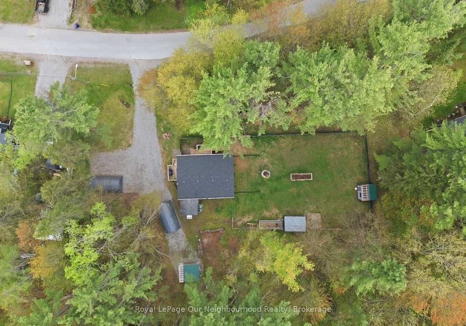 14-morrison-street-kawartha-lakes-ontario-x13608442