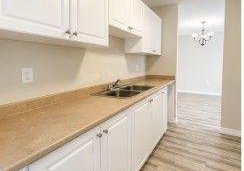 1584-ernest-avenue-london-south-ontario-x13609888