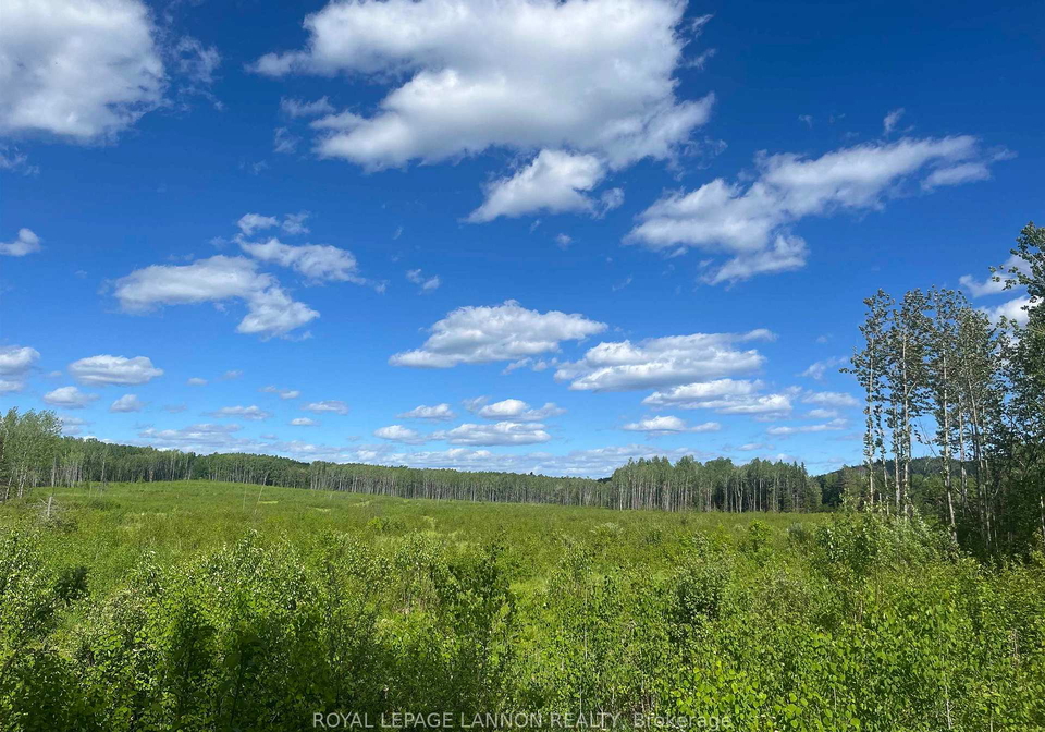 189-larson-road-neebing-ontario-x13609906