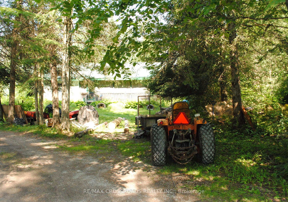 60-brook-road-kawartha-lakes-ontario-x13610658
