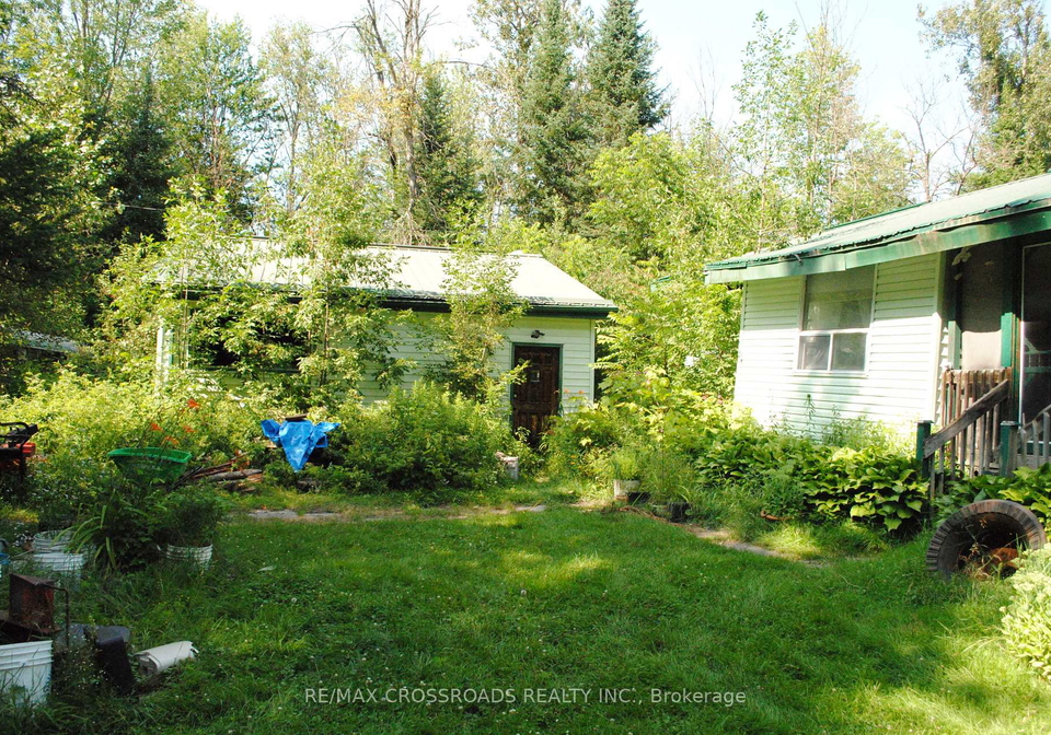 60-brook-road-kawartha-lakes-ontario-x13610658