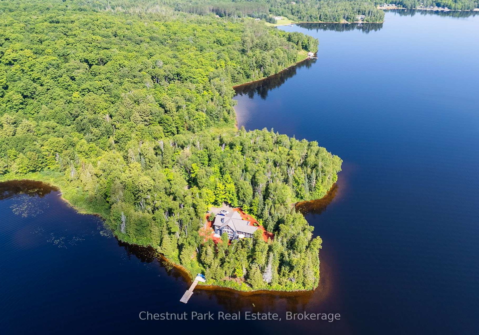 1136-severn-lane-algonquin-highlands-ontario-x13610750