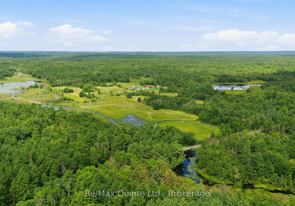 95-moores-road-tweed-ontario-x13610926