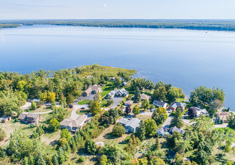 56-falls-bay-road-kawartha-lakes-ontario-x13612256