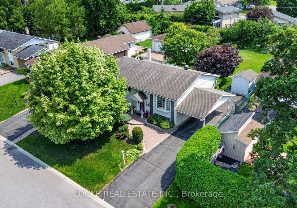 126-juniper-street-ottawa-ontario-x13613418