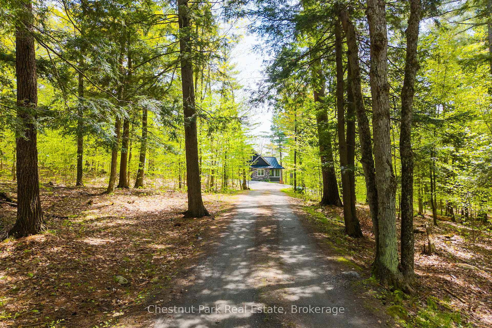 30-stephen-road-muskoka-lakes-ontario-x13615628