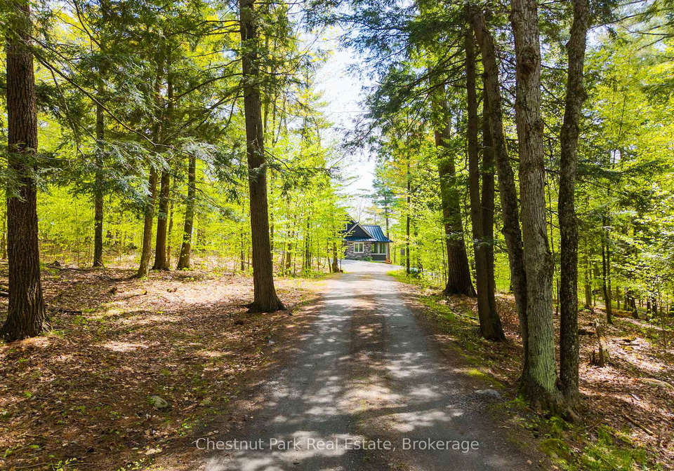 30-stephen-road-muskoka-lakes-ontario-x13615628