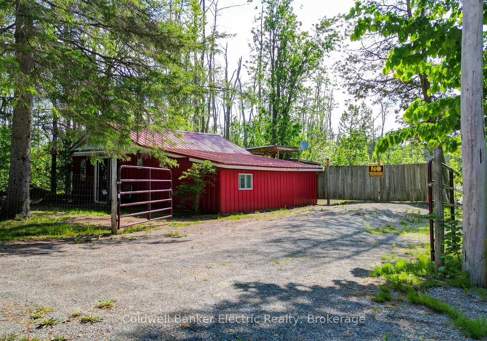 49-river-road-kawartha-lakes-ontario-x13615848