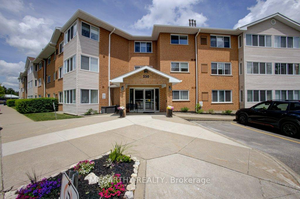 250-robert-street-shelburne-ontario-x13624684