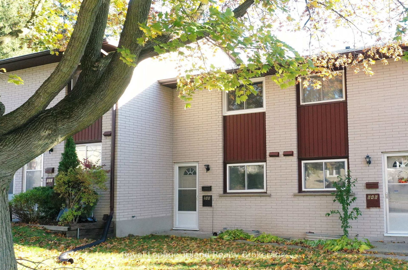 648-brant-street-woodstock-ontario-x13625100