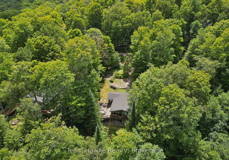 3359-maple-ridge-road-algonquin-highlands-ontario-x13625664