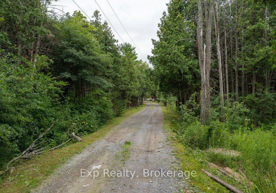 2822-shannon-road-tyendinaga-ontario-x13627022