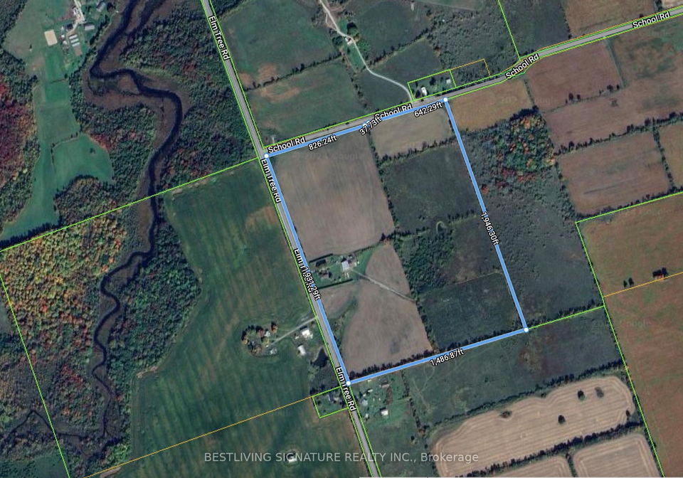 3752-elm-tree-road-kawartha-lakes-ontario-x13627416