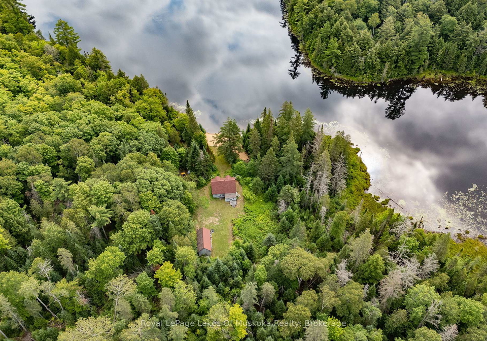 1099-wolfkin-lake-road-lake-of-bays-ontario-x13627660