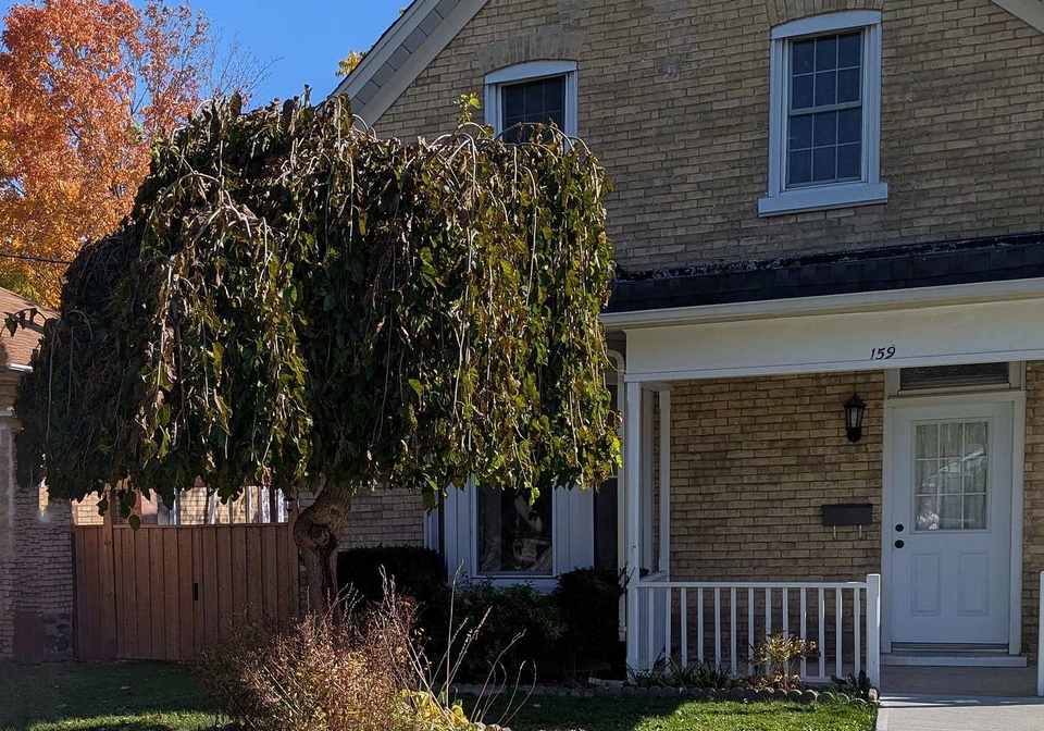 159-wellington-street-cambridge-ontario-x13628276