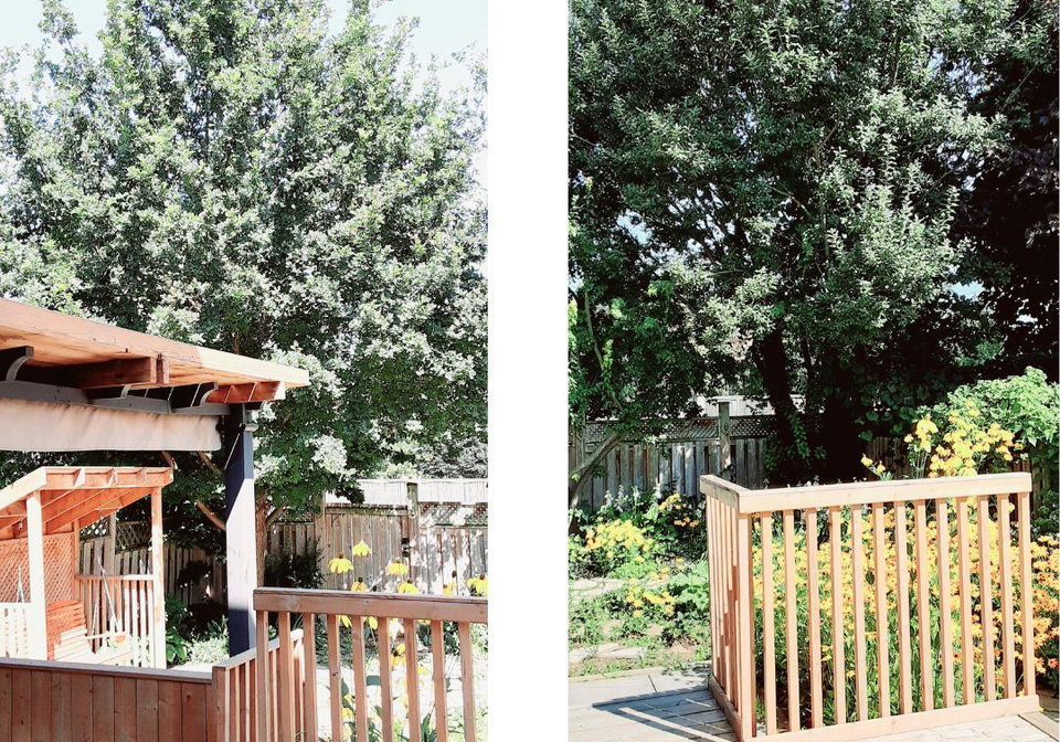 1264-blackmaple-drive-london-east-ontario-x13629412