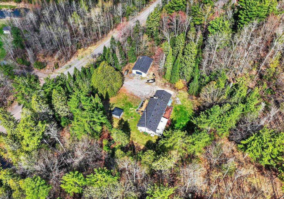 517-2nd-line-belmont-havelock-belmont-methuen-ontario-x13634218