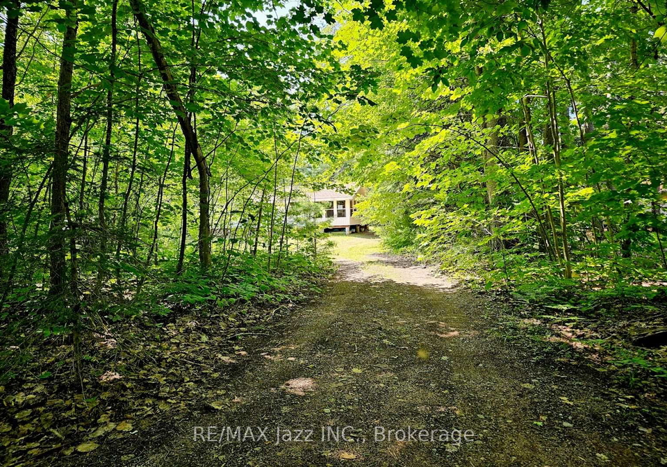 2006-south-beaver-lake-lane-minden-hills-ontario-x13634648