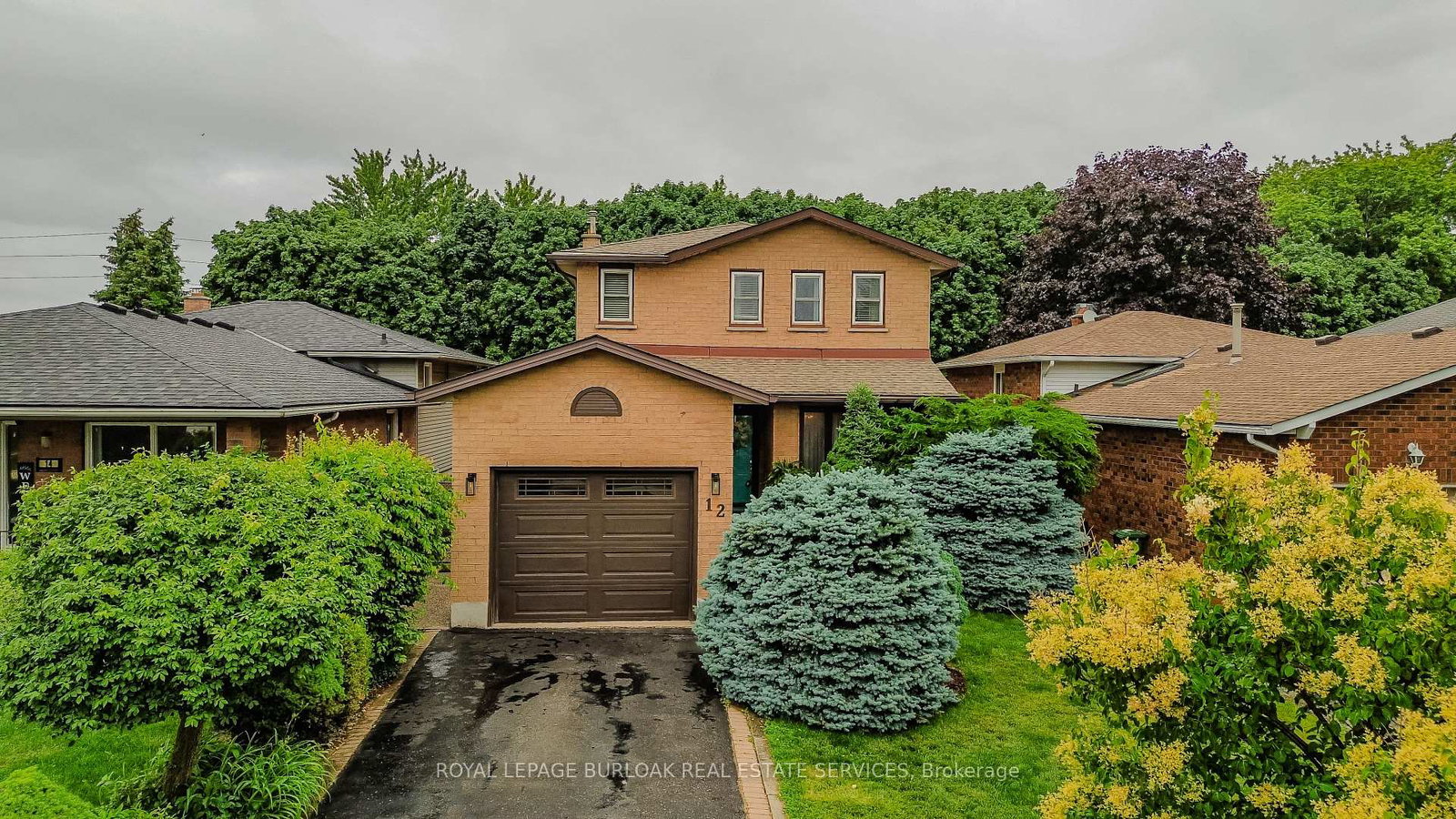12-branthaven-drive-hamilton-ontario-x13636956