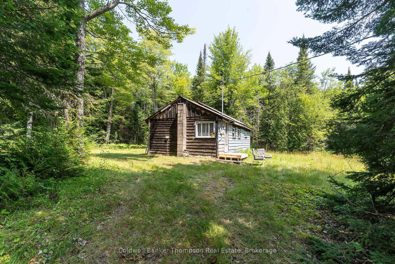 1238-star-lake-road-mcmurrichmonteith-ontario-x13644118