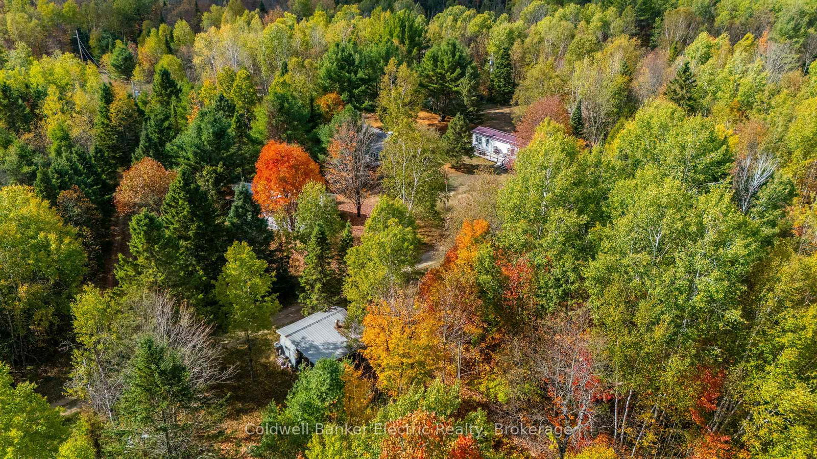 1304-lower-monmouth-lake-road-highlands-east-ontario-x13646882