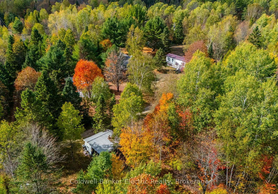 1304-lower-monmouth-lake-road-highlands-east-ontario-x13646882
