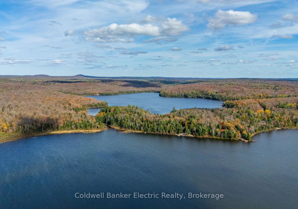 1304-lower-monmouth-lake-road-highlands-east-ontario-x13646882