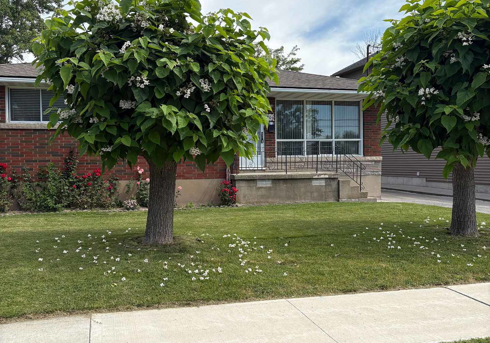 409-broadway-avenue-welland-ontario-x13650802