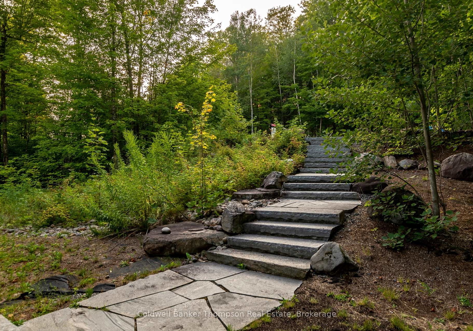 22-st-andrews-circle-huntsville-ontario-x13653102