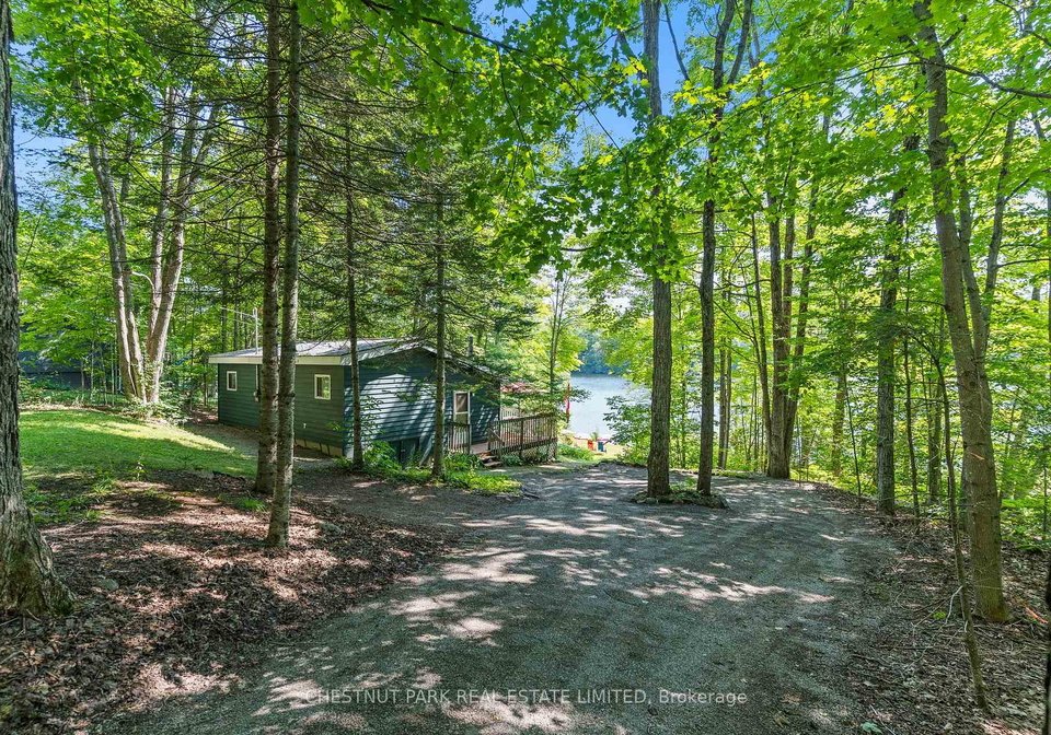 1184-little-bob-lake-road-minden-hills-ontario-x13654274