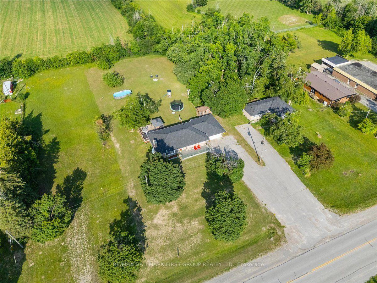 121-nappadale-street-kawartha-lakes-ontario-x13654280