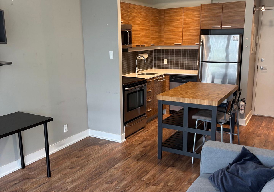349-mcleod-street-ottawa-ontario-x13654768