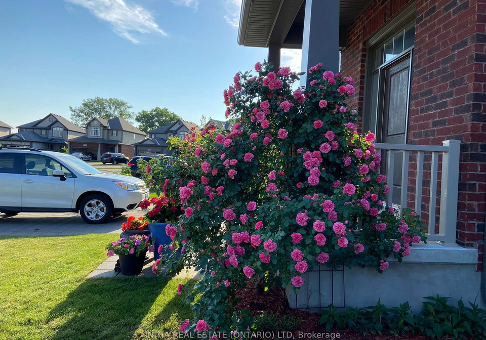 1531-horseshoe-crescent-london-north-ontario-x13655296