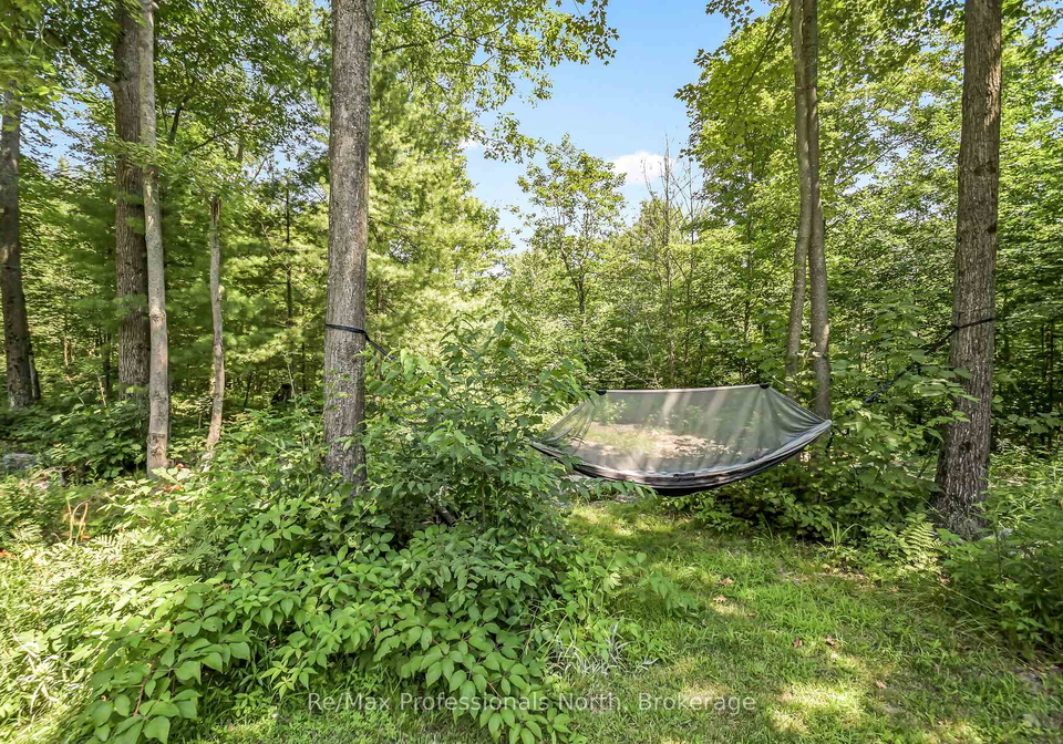 1017-barlochan-road-muskoka-lakes-ontario-x13658296