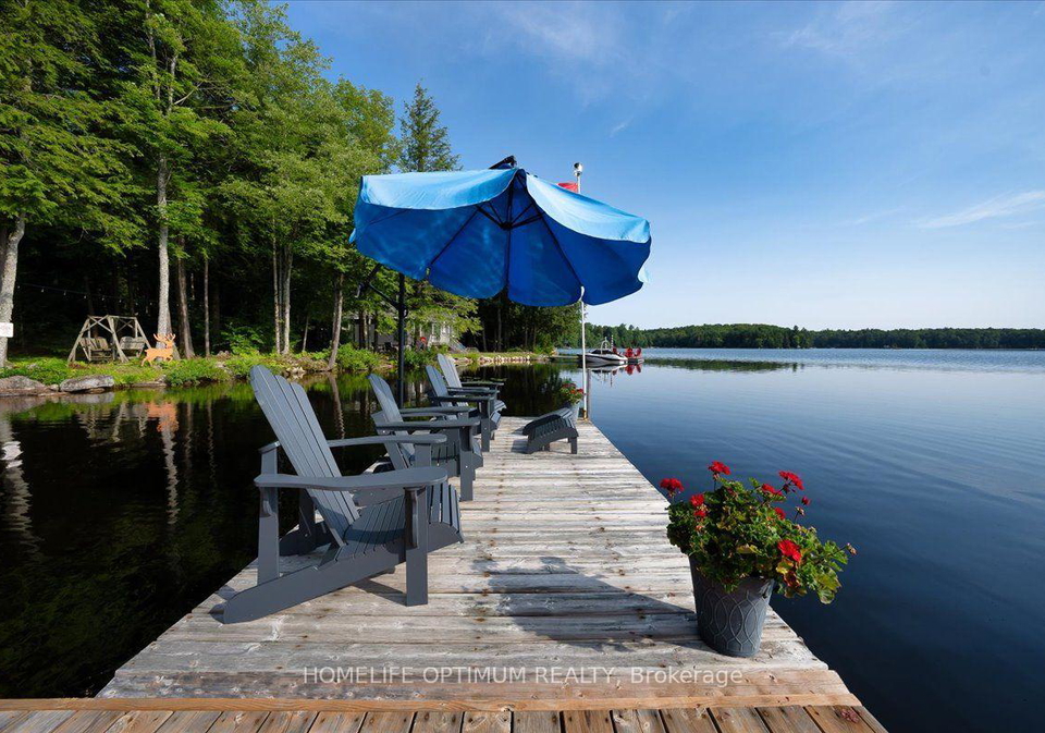 1195-lakeshore-drive-n-bracebridge-ontario-x13660676