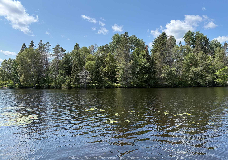 109-patrick-street-magnetawan-ontario-x13664192