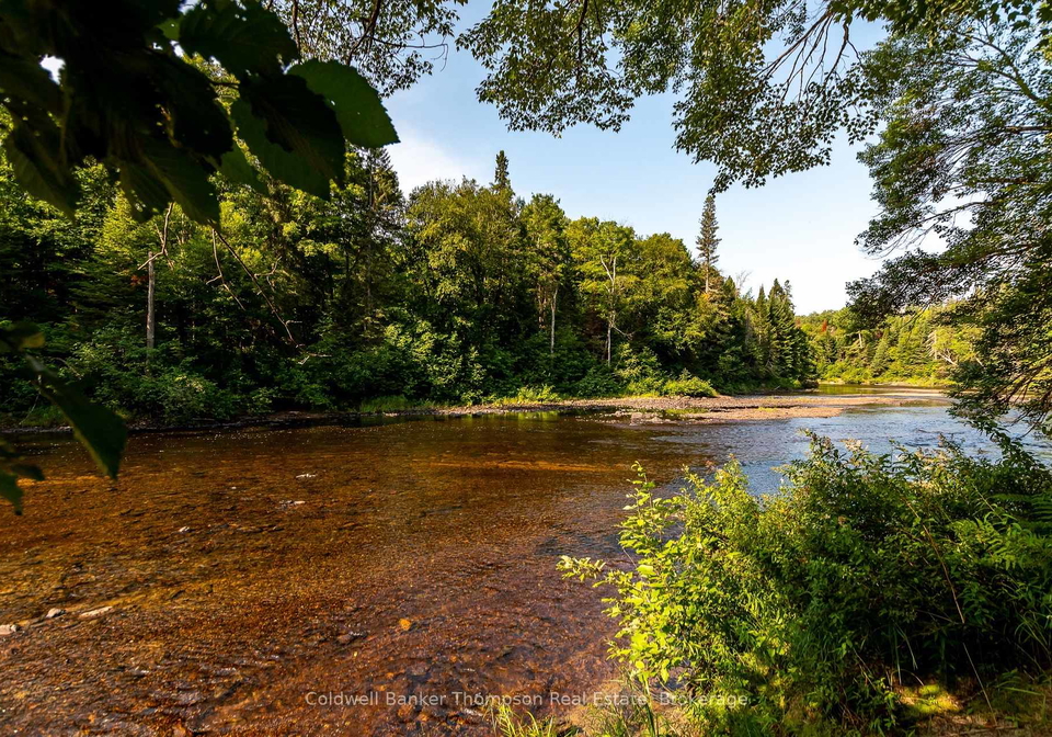 56-hildes-lane-huntsville-ontario-x13664640