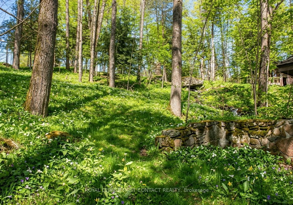47-riverside-drive-dysart-et-al-ontario-x13666904
