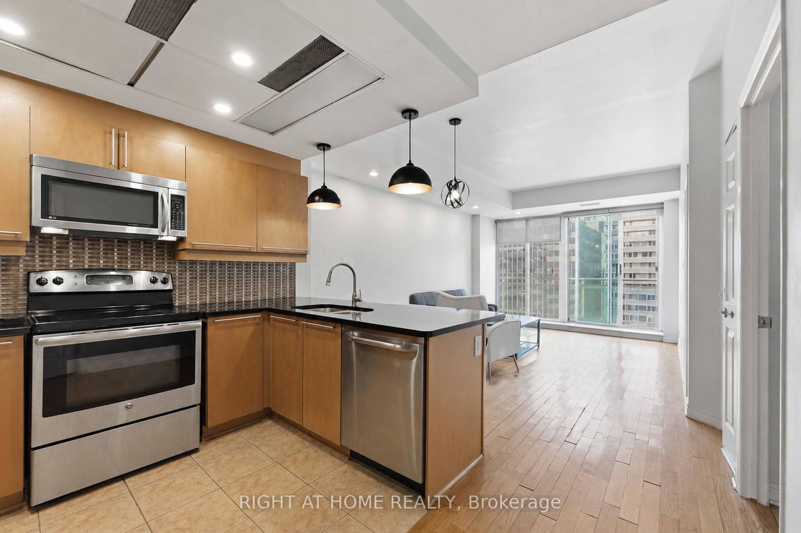 134-york-street-ottawa-ontario-x13667988