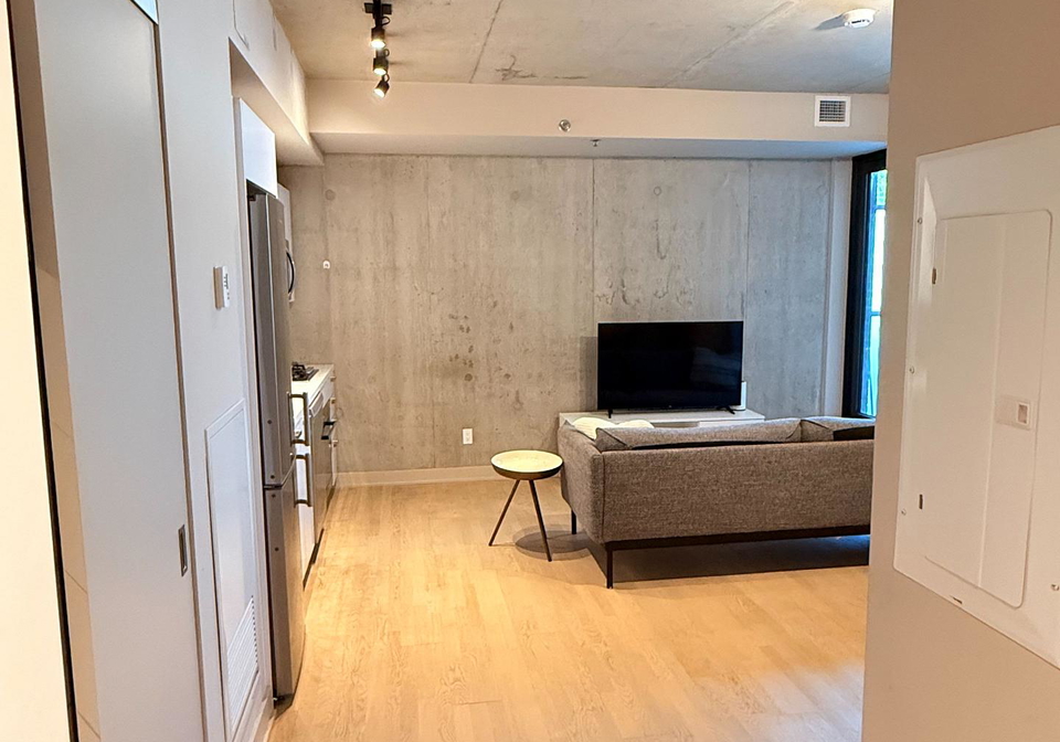 203-catherine-st-street-ottawa-ontario-x13669488